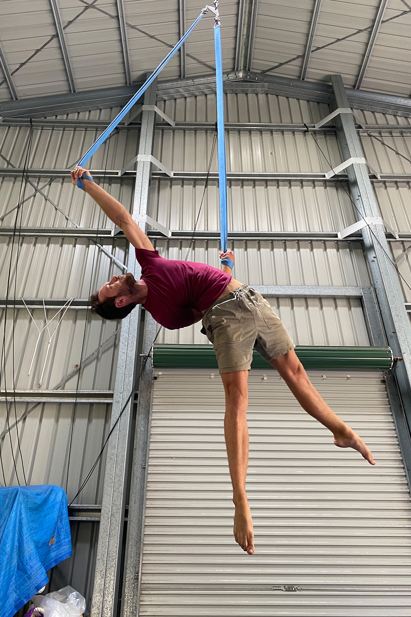 Standard Straps Stirrup Straps Trix Circus Your Safety is Our